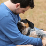 Canine Empathy: Insights from Harvard Researchers